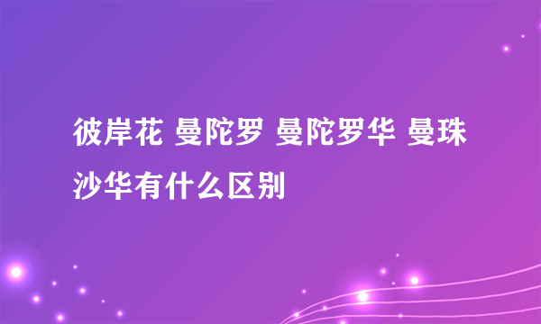 彼岸花 曼陀罗 曼陀罗华 曼珠沙华有什么区别