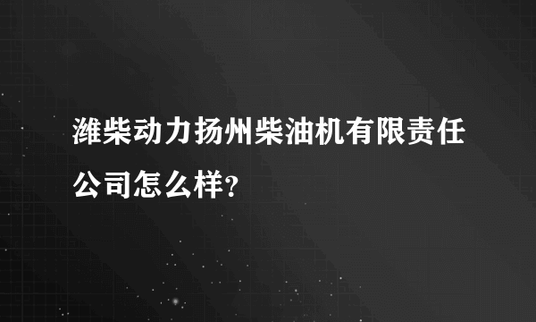 潍柴动力扬州柴油机有限责任公司怎么样？