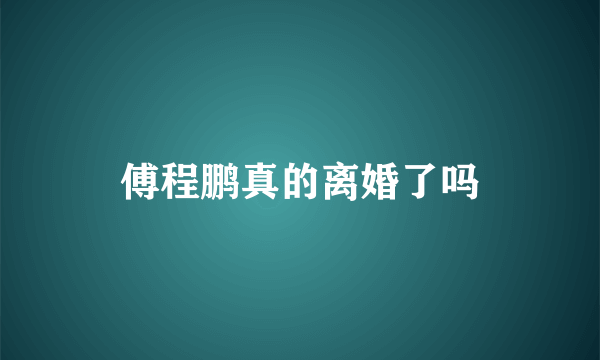 傅程鹏真的离婚了吗