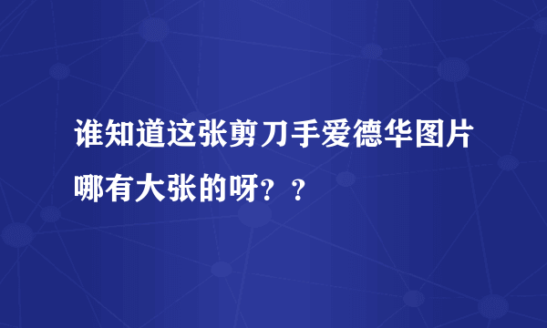 谁知道这张剪刀手爱德华图片哪有大张的呀？？