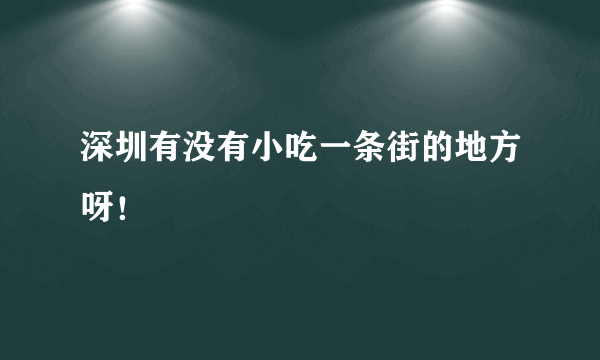 深圳有没有小吃一条街的地方呀！