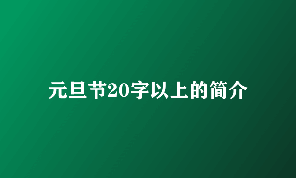 元旦节20字以上的简介