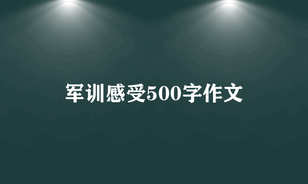 军训感受500字作文