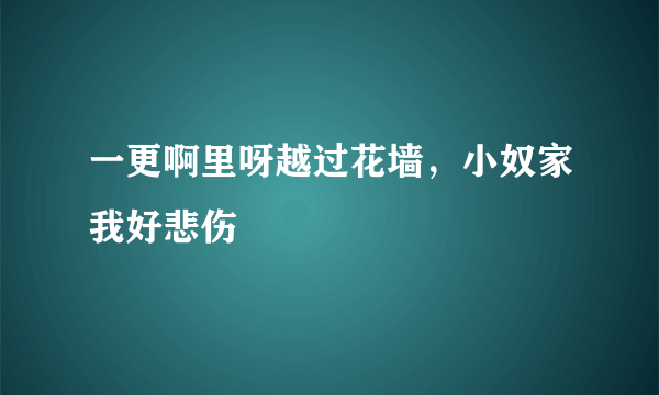 一更啊里呀越过花墙，小奴家我好悲伤