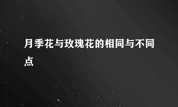 月季花与玫瑰花的相同与不同点