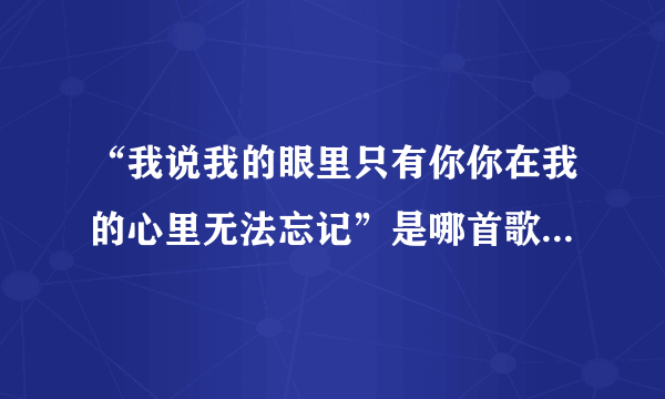 “我说我的眼里只有你你在我的心里无法忘记”是哪首歌曲里面的啊