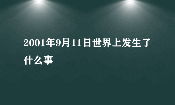 2001年9月11日世界上发生了什么事