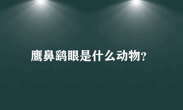 鹰鼻鹞眼是什么动物？