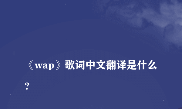 
《wap》歌词中文翻译是什么？

