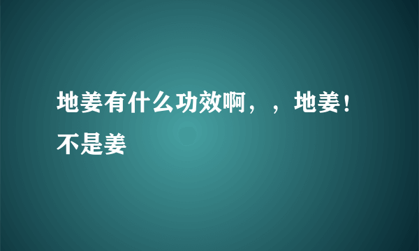 地姜有什么功效啊，，地姜！不是姜