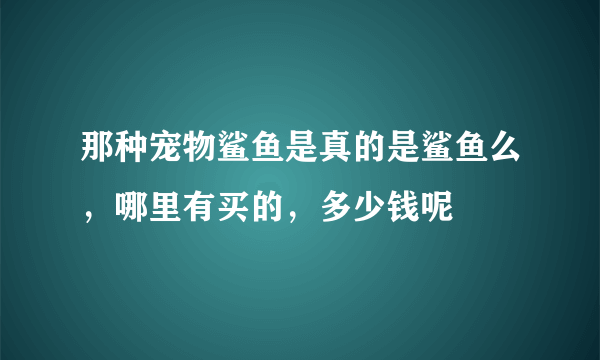 那种宠物鲨鱼是真的是鲨鱼么，哪里有买的，多少钱呢