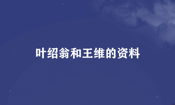 叶绍翁和王维的资料