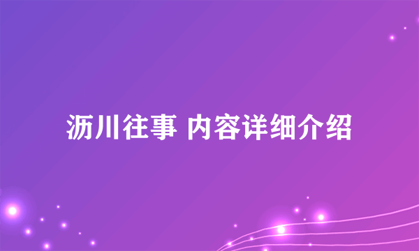 沥川往事 内容详细介绍