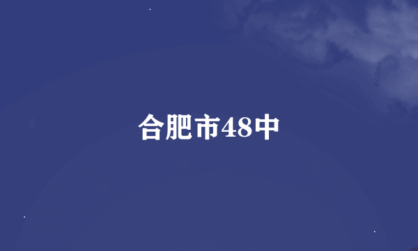 合肥市48中