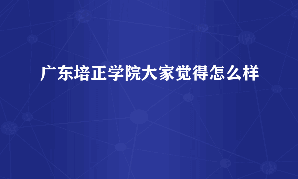 广东培正学院大家觉得怎么样