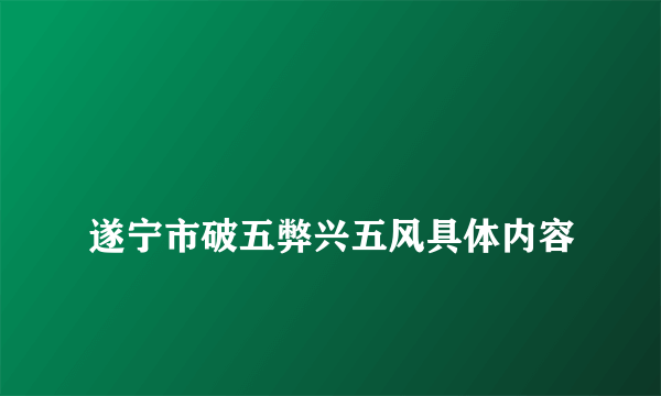 
遂宁市破五弊兴五风具体内容

