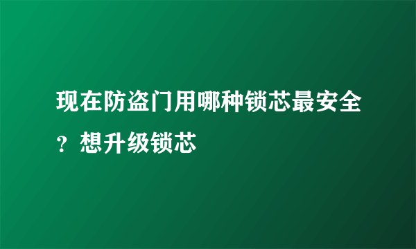 现在防盗门用哪种锁芯最安全？想升级锁芯