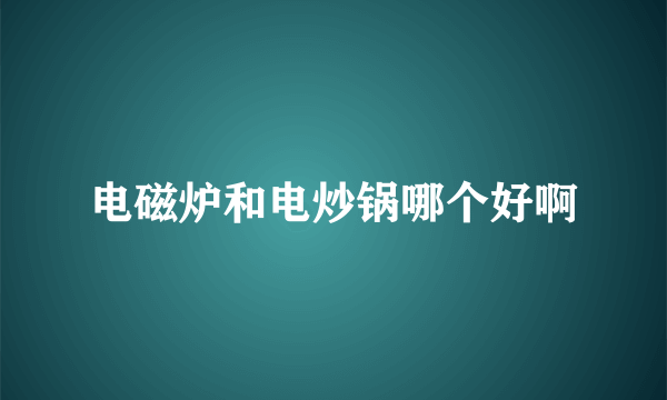 电磁炉和电炒锅哪个好啊