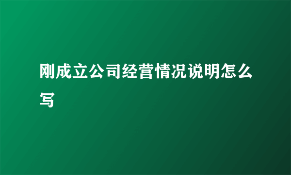 刚成立公司经营情况说明怎么写