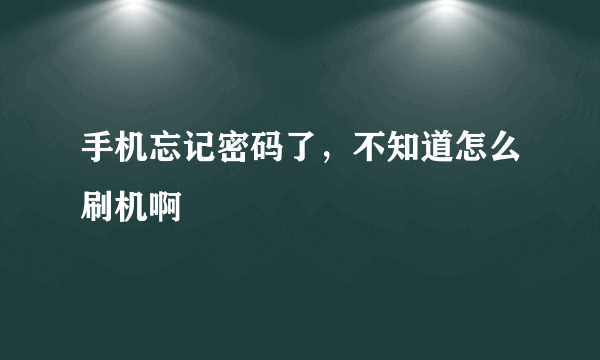 手机忘记密码了，不知道怎么刷机啊