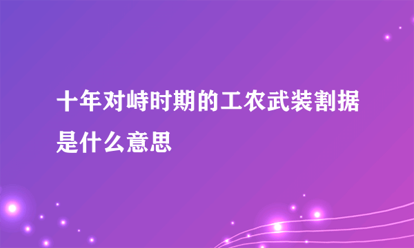 十年对峙时期的工农武装割据是什么意思