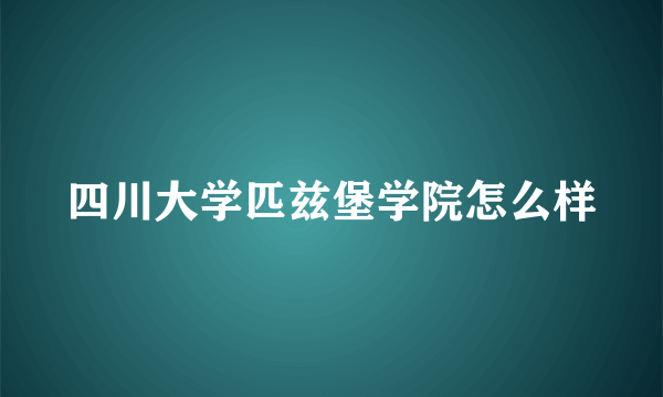 四川大学匹兹堡学院怎么样