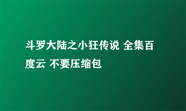 斗罗大陆之小狂传说 全集百度云 不要压缩包