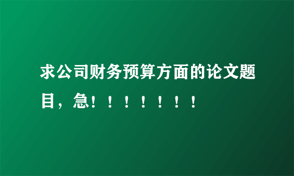 求公司财务预算方面的论文题目，急！！！！！！！