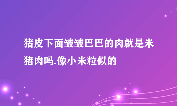 猪皮下面皱皱巴巴的肉就是米猪肉吗.像小米粒似的