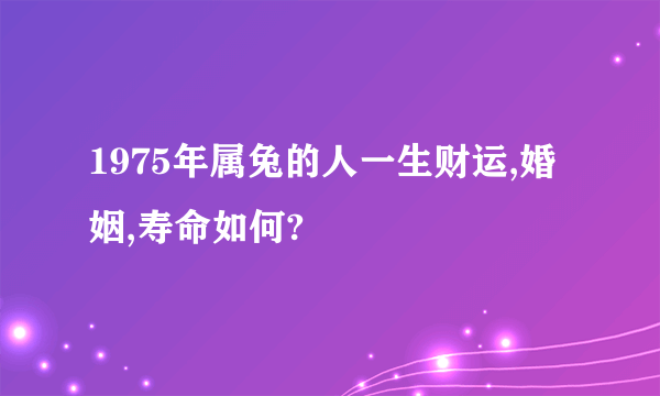 1975年属兔的人一生财运,婚姻,寿命如何?