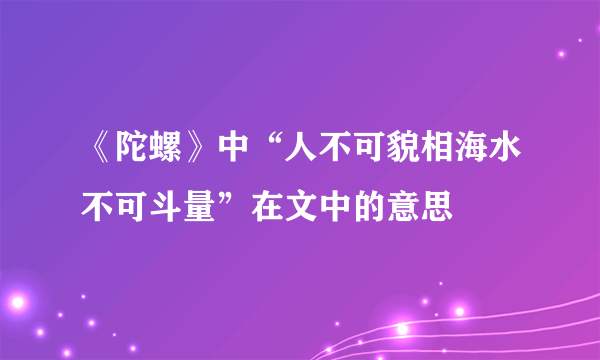 《陀螺》中“人不可貌相海水不可斗量”在文中的意思