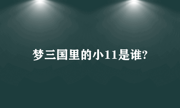 梦三国里的小11是谁?