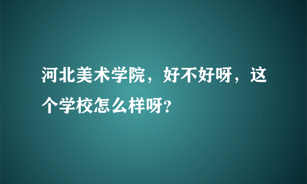 河北美术学院，好不好呀，这个学校怎么样呀？