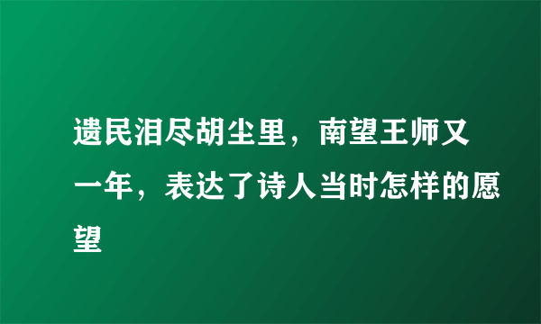 遗民泪尽胡尘里，南望王师又一年，表达了诗人当时怎样的愿望