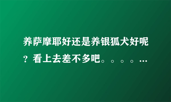 养萨摩耶好还是养银狐犬好呢？看上去差不多吧。。。。。。。。