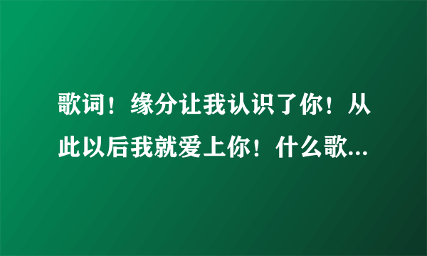 歌词！缘分让我认识了你！从此以后我就爱上你！什么歌曲啊？谁唱的？