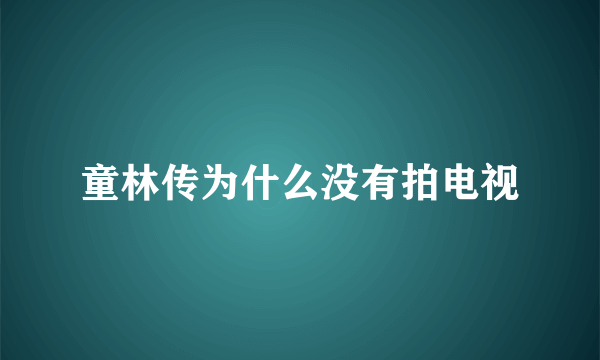 童林传为什么没有拍电视