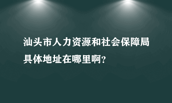 汕头市人力资源和社会保障局具体地址在哪里啊？