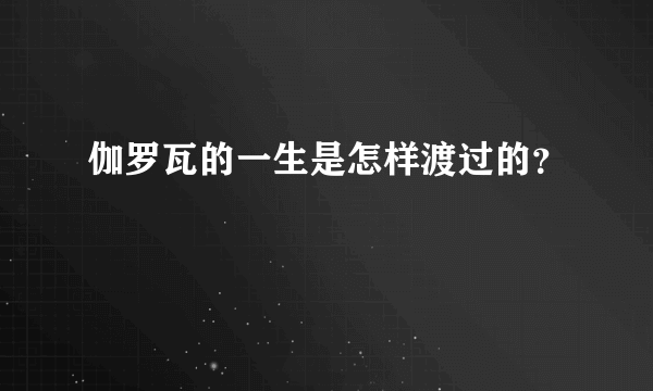 伽罗瓦的一生是怎样渡过的？