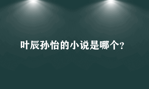 叶辰孙怡的小说是哪个？