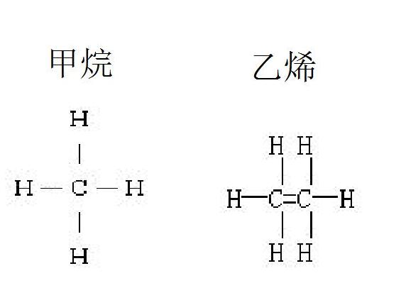 双碳键是什么意思？