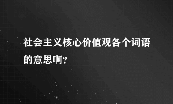 社会主义核心价值观各个词语的意思啊？