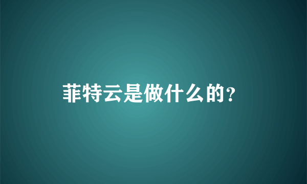 菲特云是做什么的？