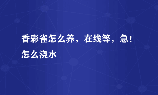 香彩雀怎么养，在线等，急！怎么浇水