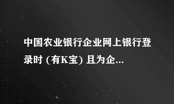 中国农业银行企业网上银行登录时 (有K宝) 且为企业向个人转账 怎么操作啊。？求帮助。