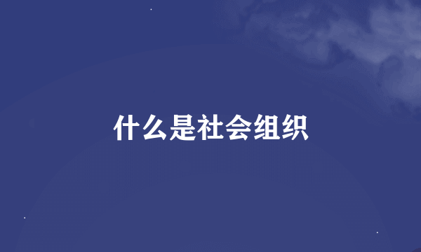 什么是社会组织