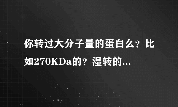 你转过大分子量的蛋白么？比如270KDa的？湿转的转膜条件是什么啊？我用200mA转了2.5个小时结果都没转上